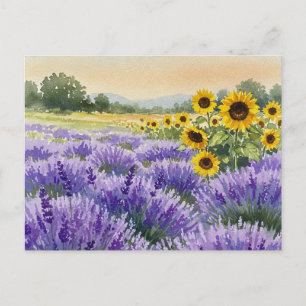Cartão postal para a lavanda da Proveniência de Gi
