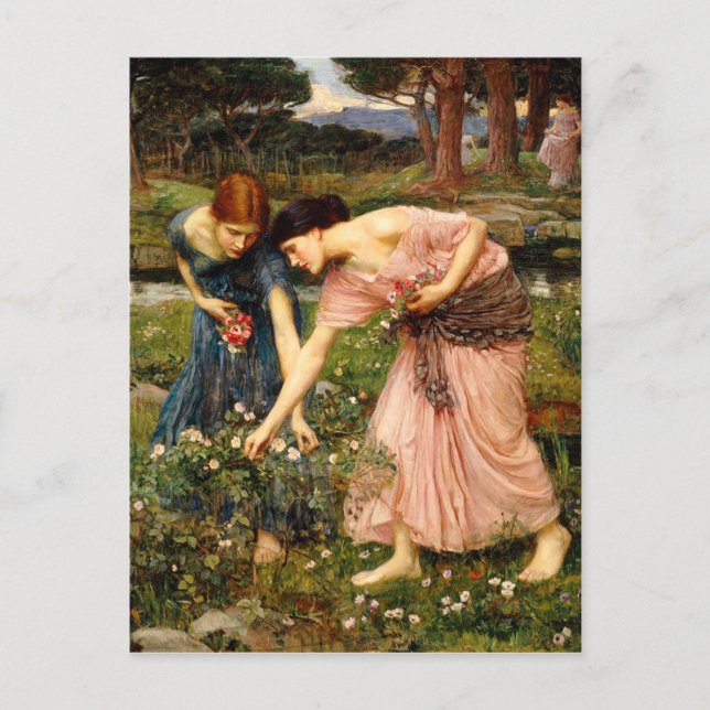 Cartão postal para a Waterhouse Gather Ye Rosebuds (Frente)