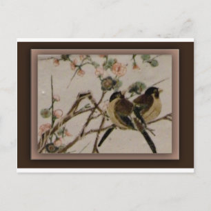 Cartão Postal Para as aves