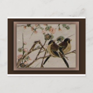 Cartão Postal Para as aves
