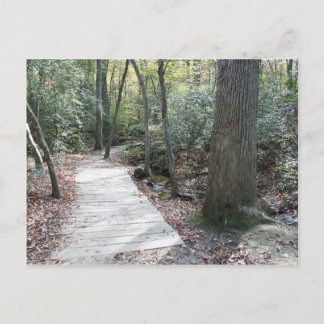 Cartão Postal Para as Florestas