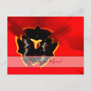 Cartão Postal Para as melhores mamães do mundo!