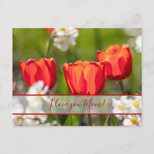 Cartão Postal Para as melhores mamães do mundo!