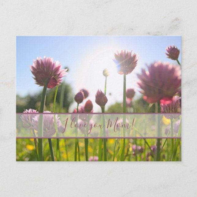 Cartão Postal Para as melhores mamães do mundo! (Frente)