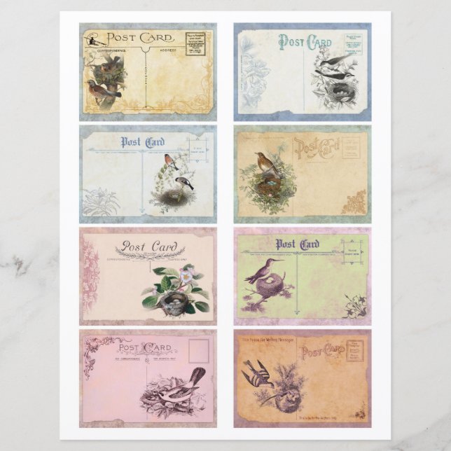 Cartão postal para aves Vintage - Cartões ATC (Frente)