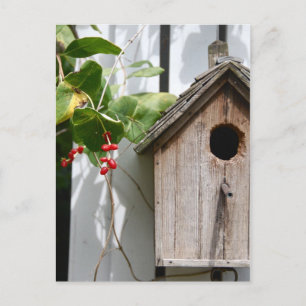 Cartão Postal Para Bob