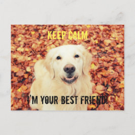 Cartão postal para cães amantes
