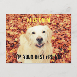 Cartão postal para cães amantes