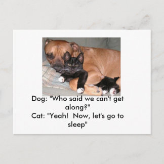 Cartão postal para cães e gatos