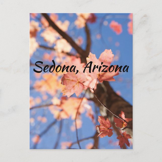 Cartão Postal para cima, para cima, nas folhas Sedona, Arizona (Frente)