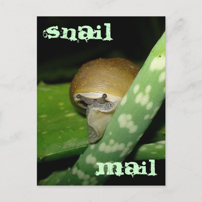 Cartão postal para correio em caixa (Frente)