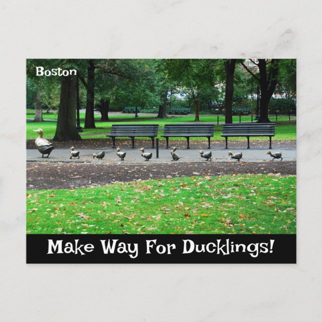 Cartão Postal Para Ducklings (Frente)
