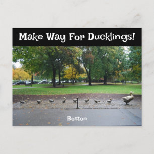 Cartão Postal Para Ducklings