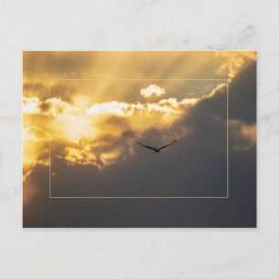 Cartão Postal Para Fora Da Águia Solar Com Borda