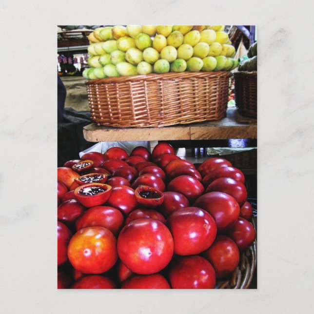 Cartão Postal para Frutas de Paixão Portugal (Frente)