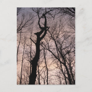 Cartão Postal para o céu