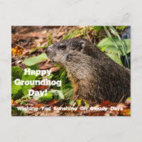 Cartão postal para o Dia da Groundhog