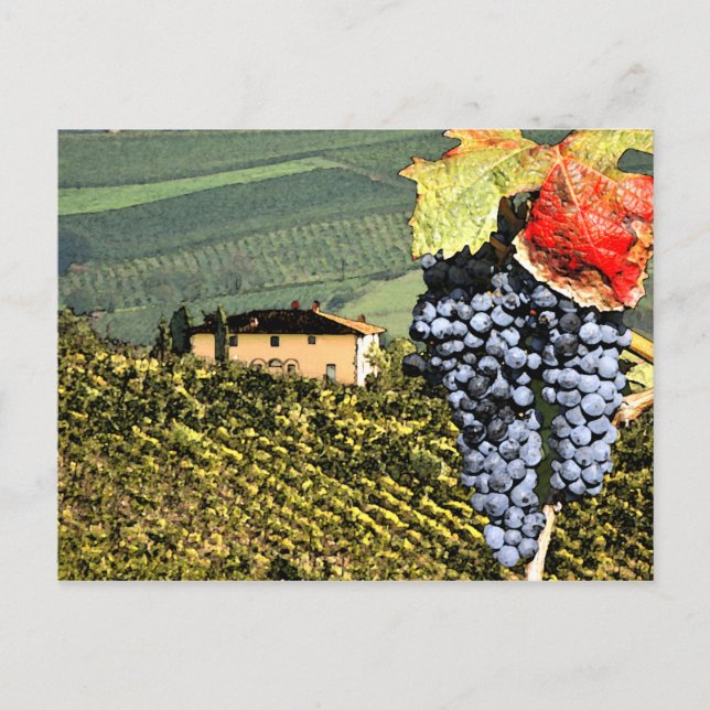 Cartão postal para o Estaleiro da Toscana (Frente)