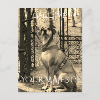 Cartão postal para os amantes de cães com texto e 