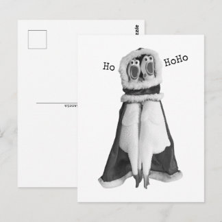 Cartão postal para Papais noeis de frango de borra