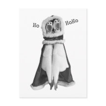 Cartão postal para Papais noeis de frango de borra