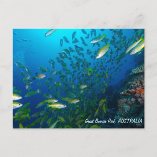Cartão postal para peixes tropicais do mar de cor