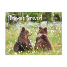 Cartão postal para sempre