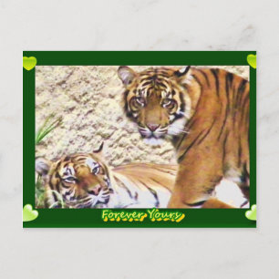 Cartão Postal Para sempre seu_