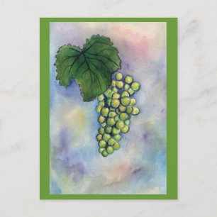 Cartão postal para Uvas de Vinho Chardonnay