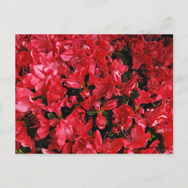 Cartão Postal para Viagem 5 (Frente)