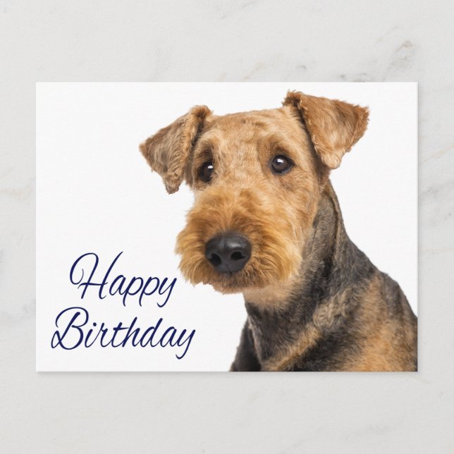 Cartão Postal Parabéns Airedale Terrier Puppy Dog Blue (Frente)