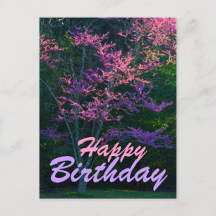 Cartão Postal Parabéns - Árvore de Flor Redbud