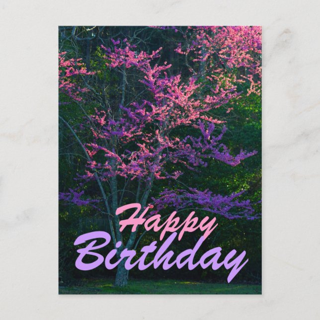 Cartão Postal Parabéns - Árvore de Flor Redbud (Frente)