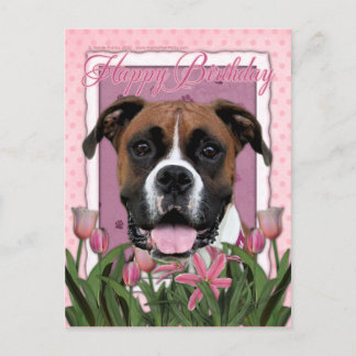 Cartão Postal Parabéns - Boxer - Vindy