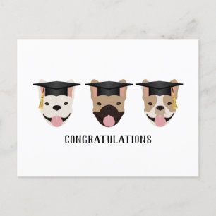 Cartão Postal Parabéns Bulldogs Franceses