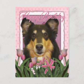Cartão Postal Parabéns - Collie - Caroline