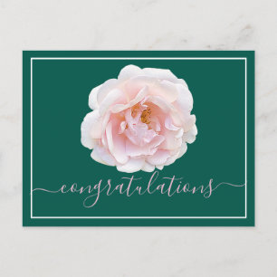 Cartão Postal Parabéns de fundo ciano rosa rosa rosa rosa