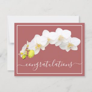 Cartão Postal Parabéns de fundo do salmão de Flor Orquídeo