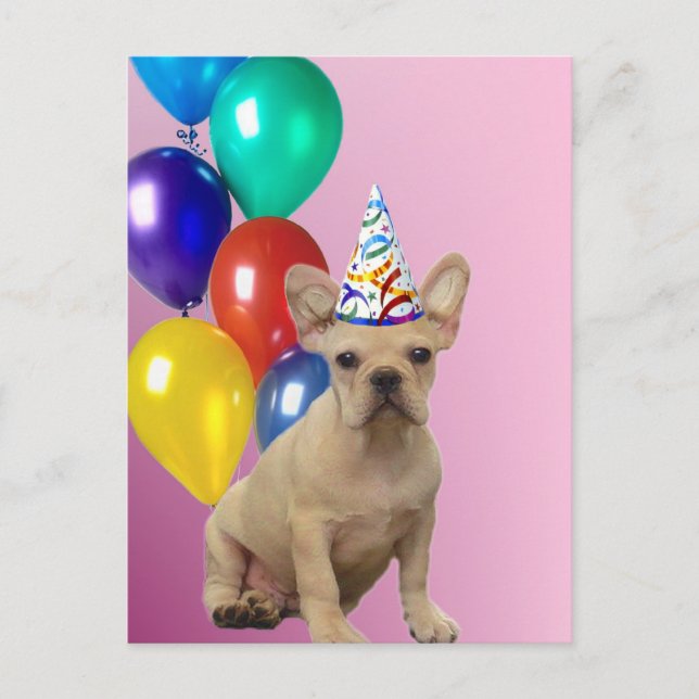 Cartão Postal Parabéns Francês Buldogue (Frente)