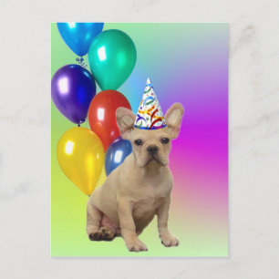 Cartão Postal Parabéns Francês Buldogue