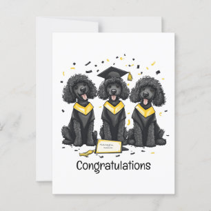 Cartão Postal Parabéns Graduação Cães Poodle Padrão
