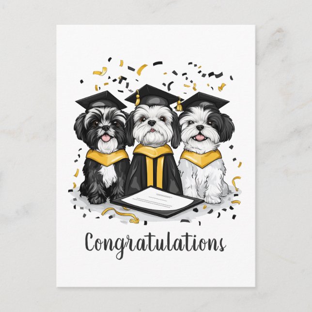 Cartão Postal Parabéns Graduação Shih Tzu Cachorros (Frente)