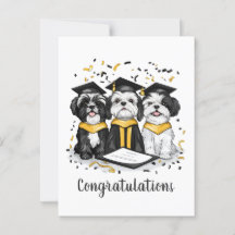 Parabéns Graduação Shih Tzu Dogs