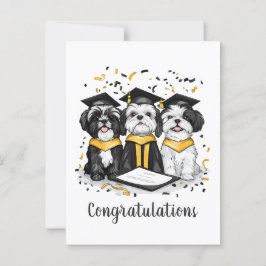Cartão Postal Parabéns Graduação Shih Tzu Dogs