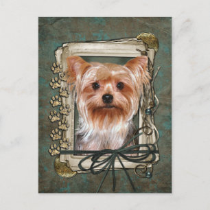 Cartão Postal Parabéns - Pedras Pedras - Yorkshire Terrier