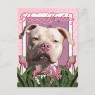 Cartão Postal Parabéns - Pitbull - Jersey Girl