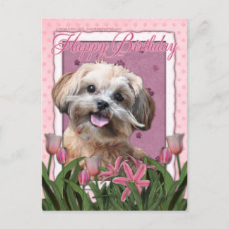 Cartão Postal Parabéns - ShihPoo - Maggie