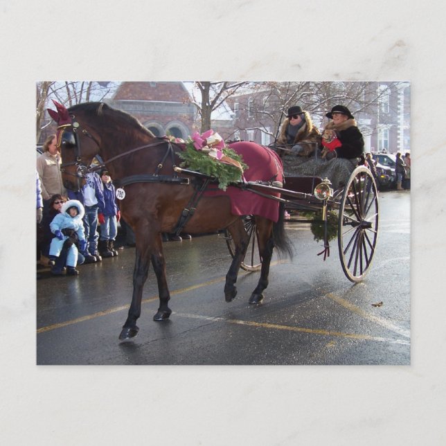 CARTÃO POSTAL PARADA WOODSTOCK WASSAIL (Frente)