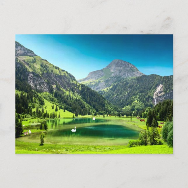 Cartão Postal Paradise Cove (Frente)