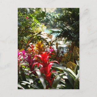Cartão Postal Paradise Postcard